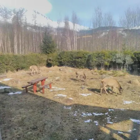 Ester Apartamento Tatranská Lomnica